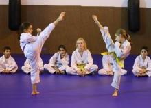 Tae Kwon do