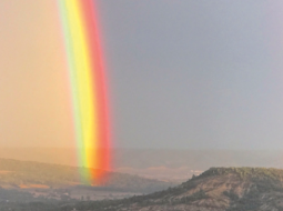 Atelier Philo Roydes